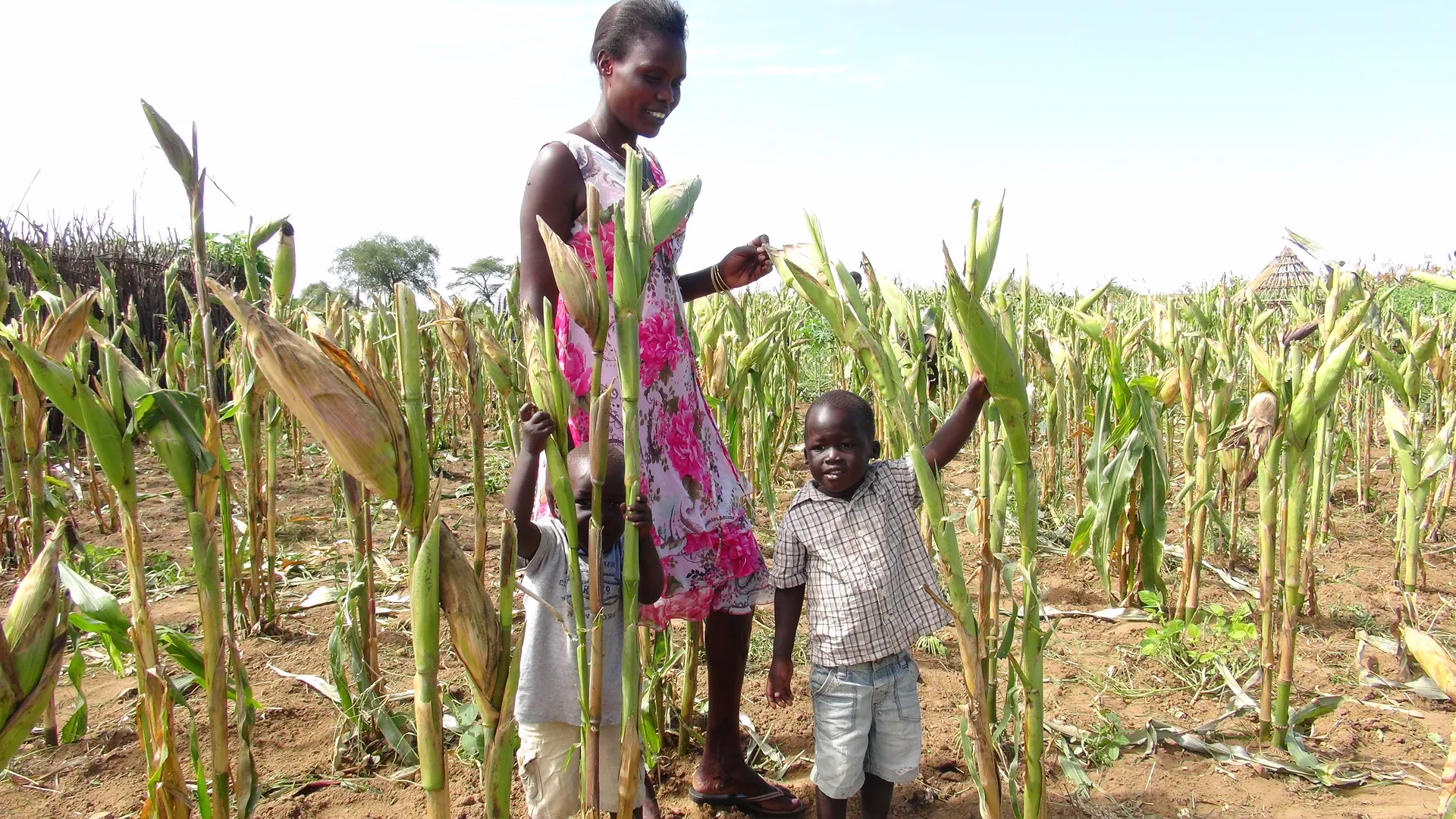 Food Security in Sub-Saharan Africa